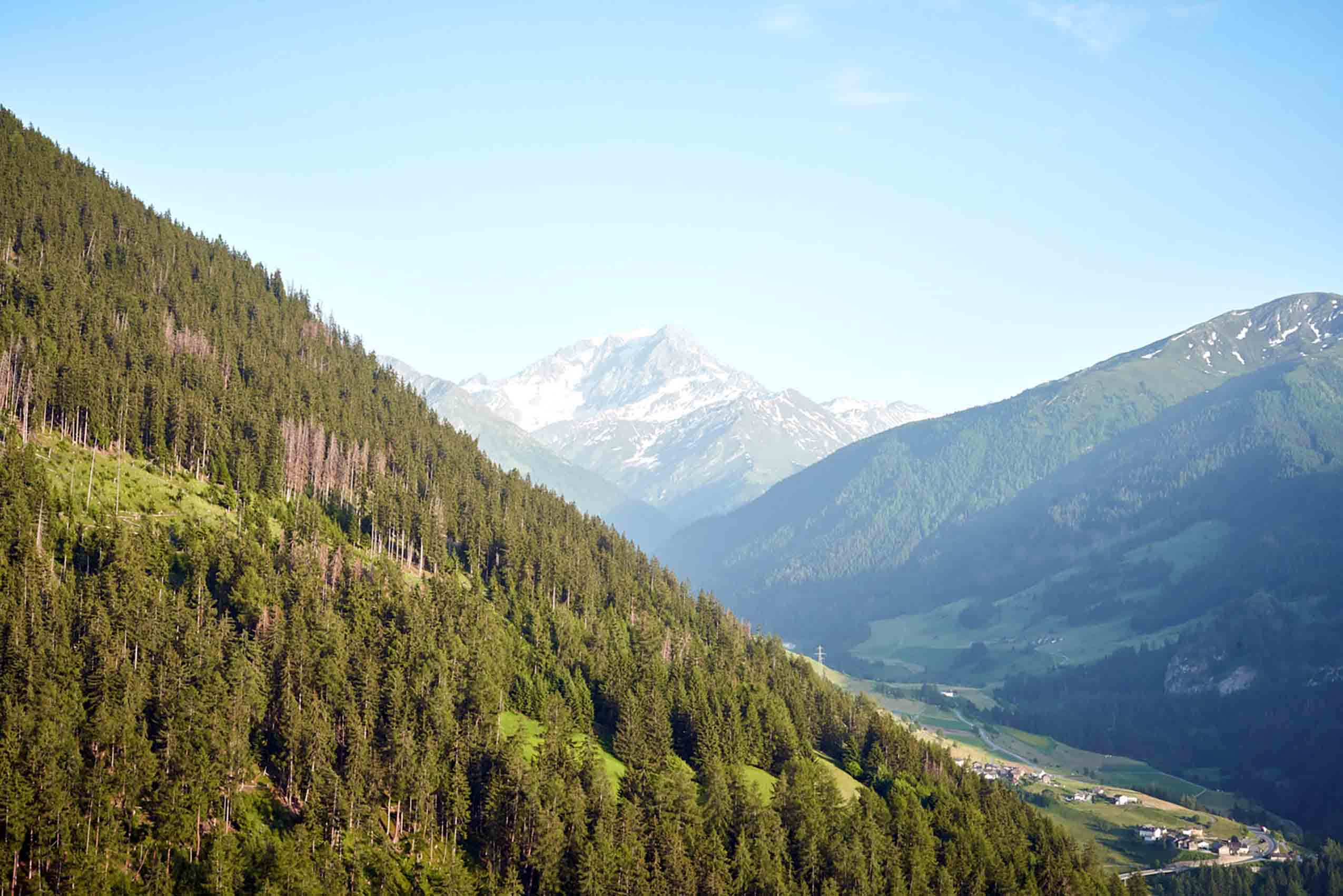 2019_giroflex161_MontagneAlternativeOrsiere_7R301102_web