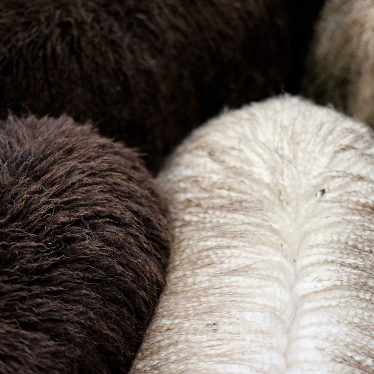 flokkk_sust_wool_bkg