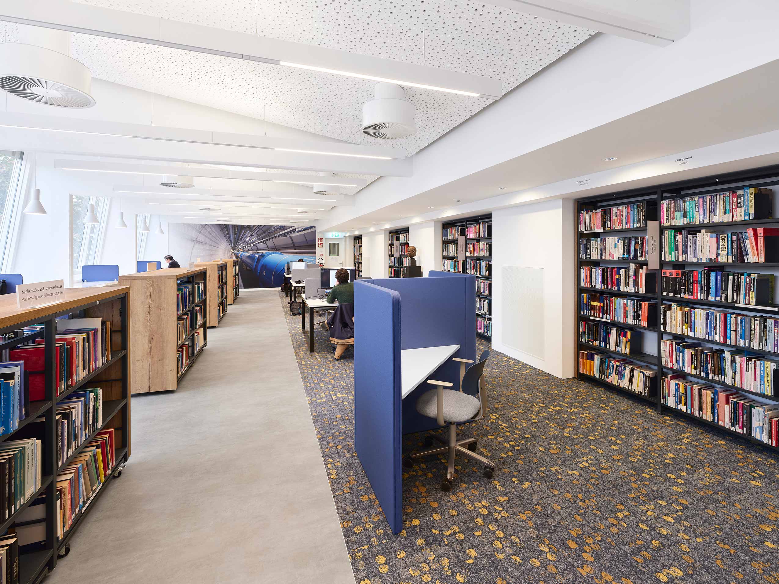 HÅG Tion chairs at private desks in library space at European Laboratory for Particle Physics (CERN) | Photo : Sarah Reuland