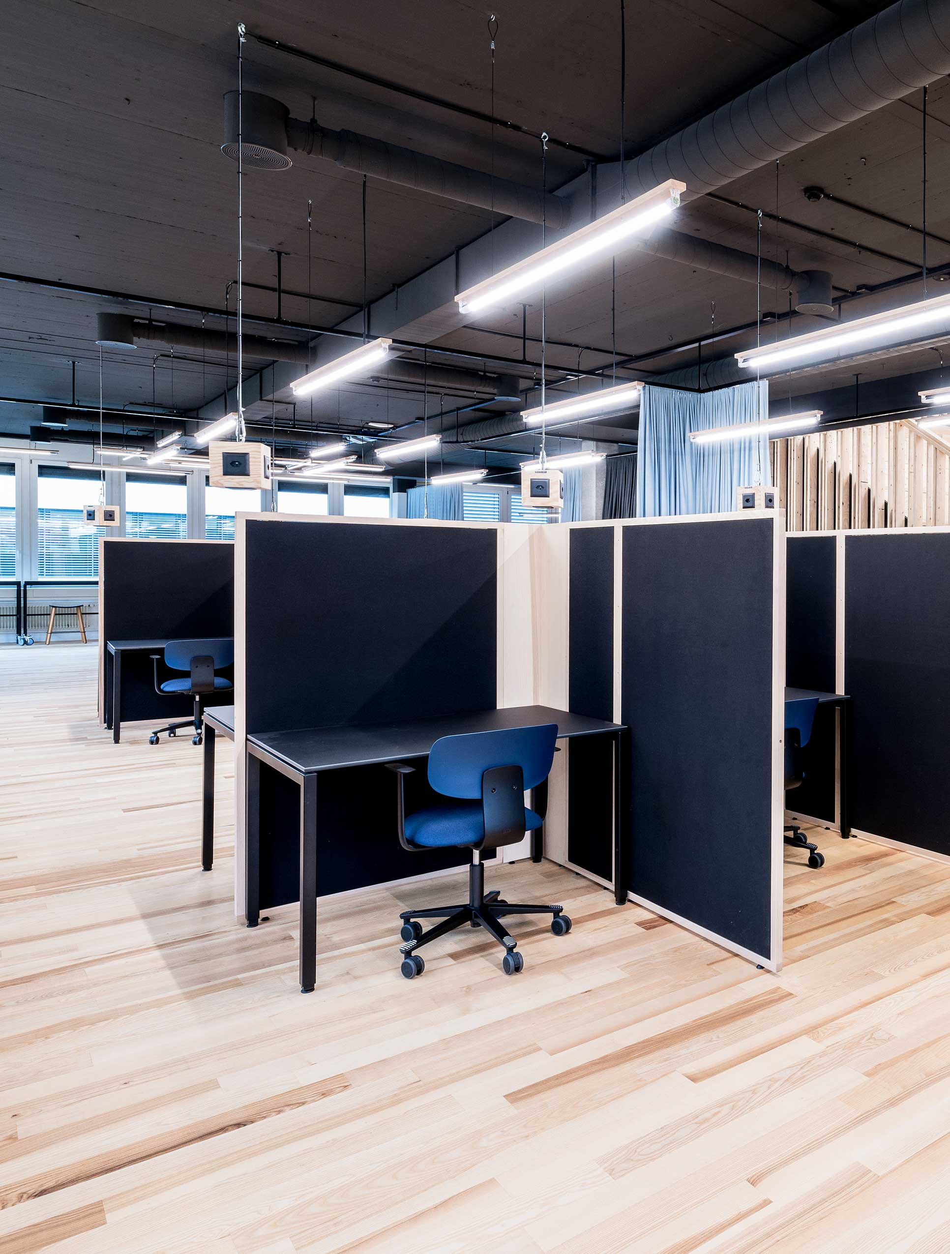 Blue HÅG Tion chair in a 3 sided black cubicle in a university campus workzone