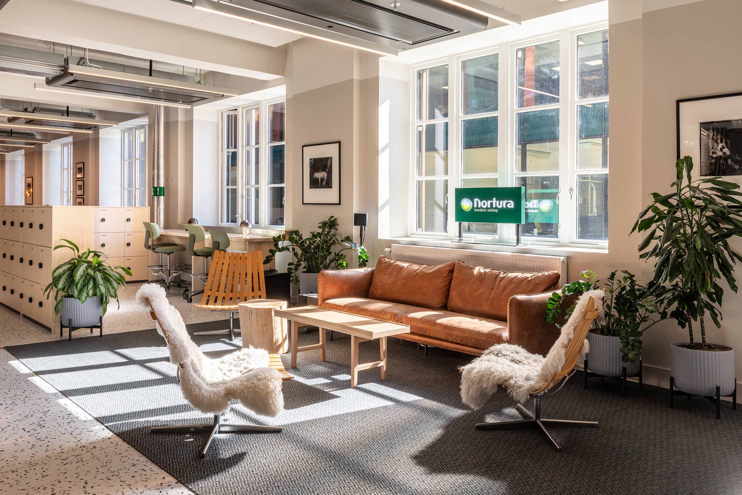 soft seating area with various chairs around a coffee table at Nortura office