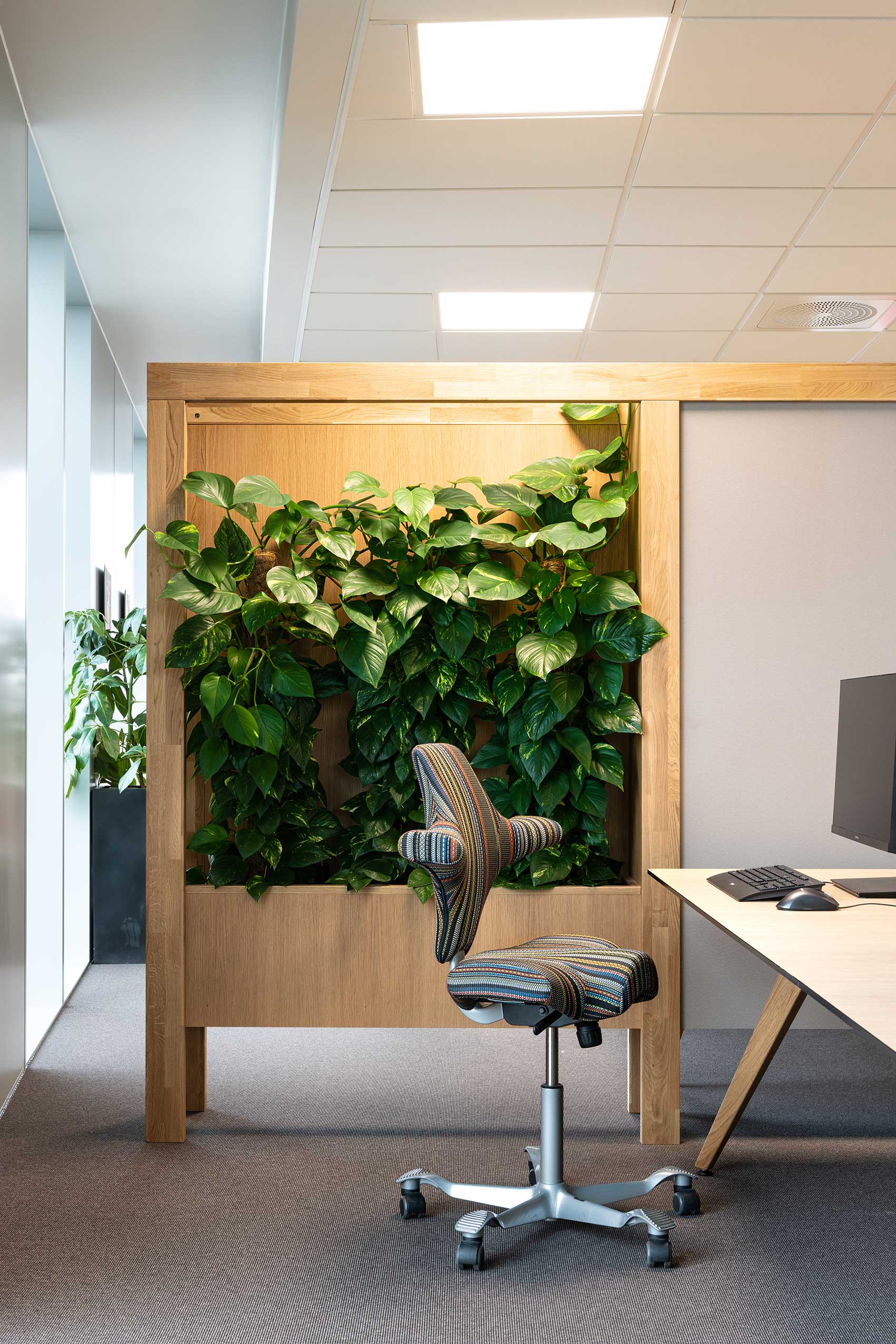Colourful HÅG Capisco at workstation at Orkla | Photo: Niklas Hart