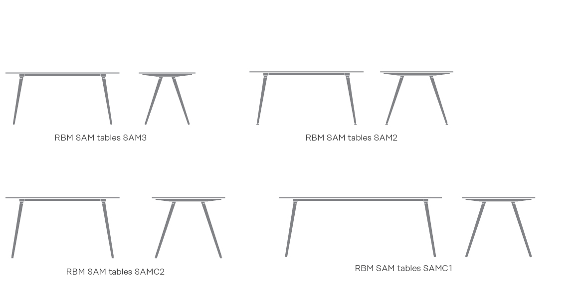 RBM_SAM_table_2