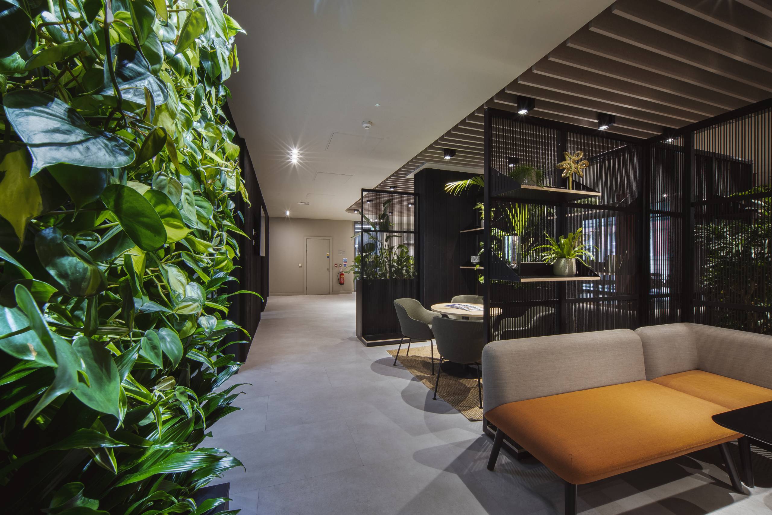 office interior filled with greenery including harp furniture from connection