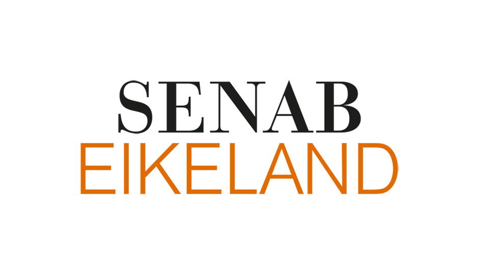 senab_final_logo